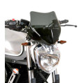 AEROSPORT WINDSHIELD FZ6 S2 - Currently not available